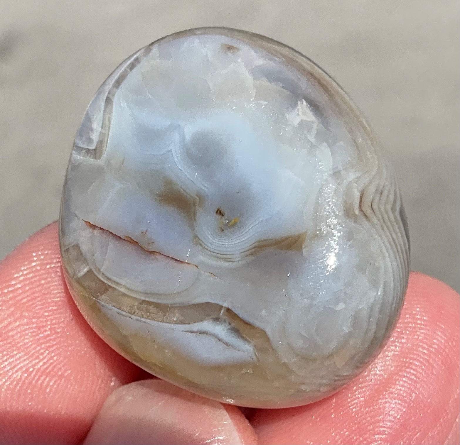 Polished Dendritic Agate Palmstone Shadow Banded Chalcedony 1.0 oz