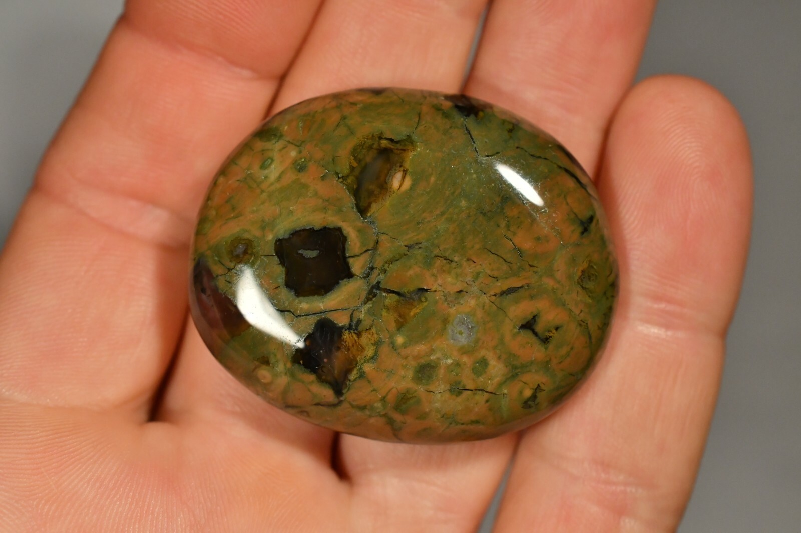 RHYOLITE Palm Stone 4.3cm 30g Flat Rainforest Jasper Healing Change Progress