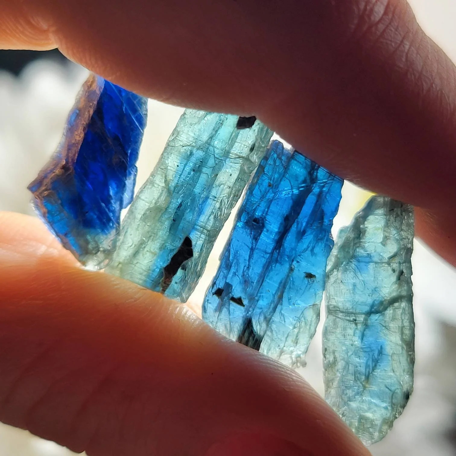 Gemmy Blue Kyanite Crystal