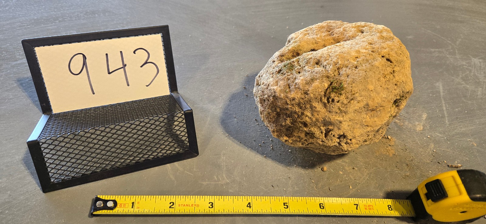 5″ Medium Pumice Stone Floating Natural Rock Carnivorous Succulent Garden #943