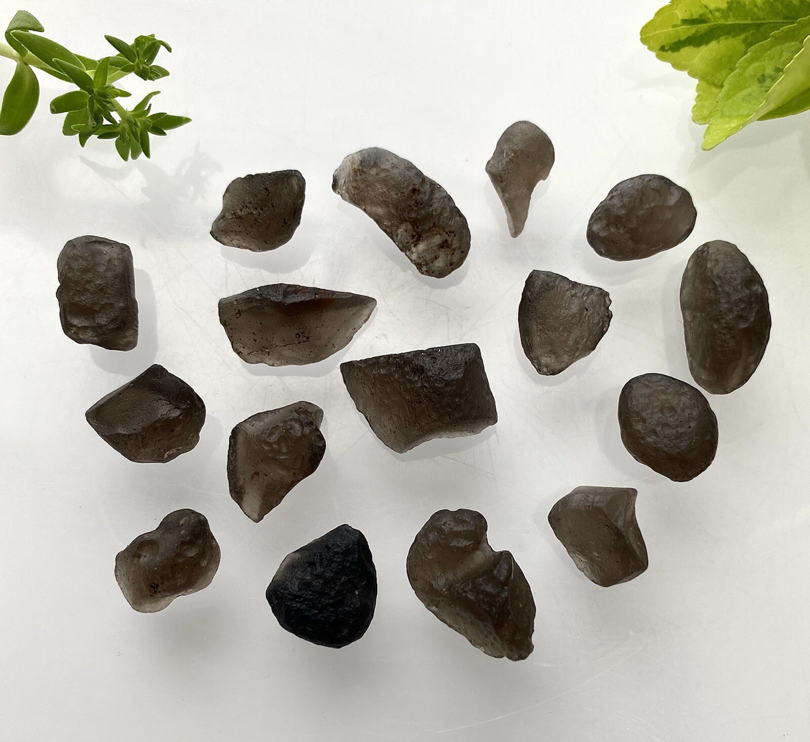 Wholesale Lot Natural Colombianite Colombian Tektite 40 Gram 16 To 24 PCs