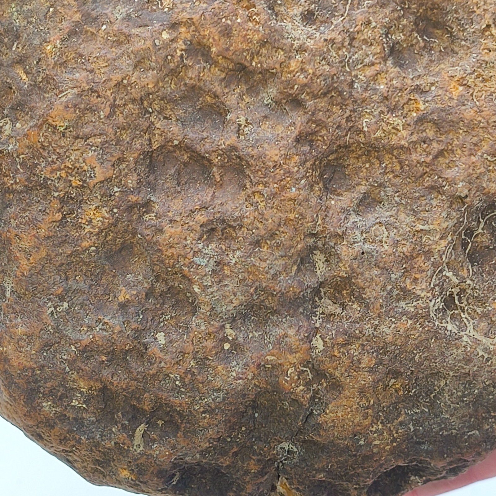 Kentucky Geode Unopened Natural Quartz Crystal Crack Your Own 4lb