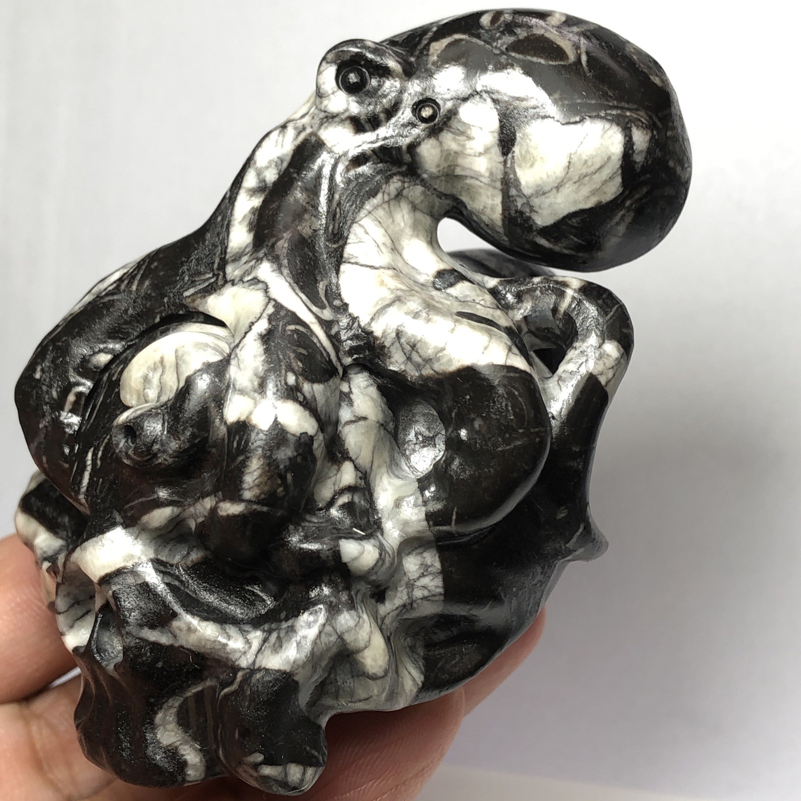 Octopus fine hand-carved natural shell stone crystal quartz mineral specimens.