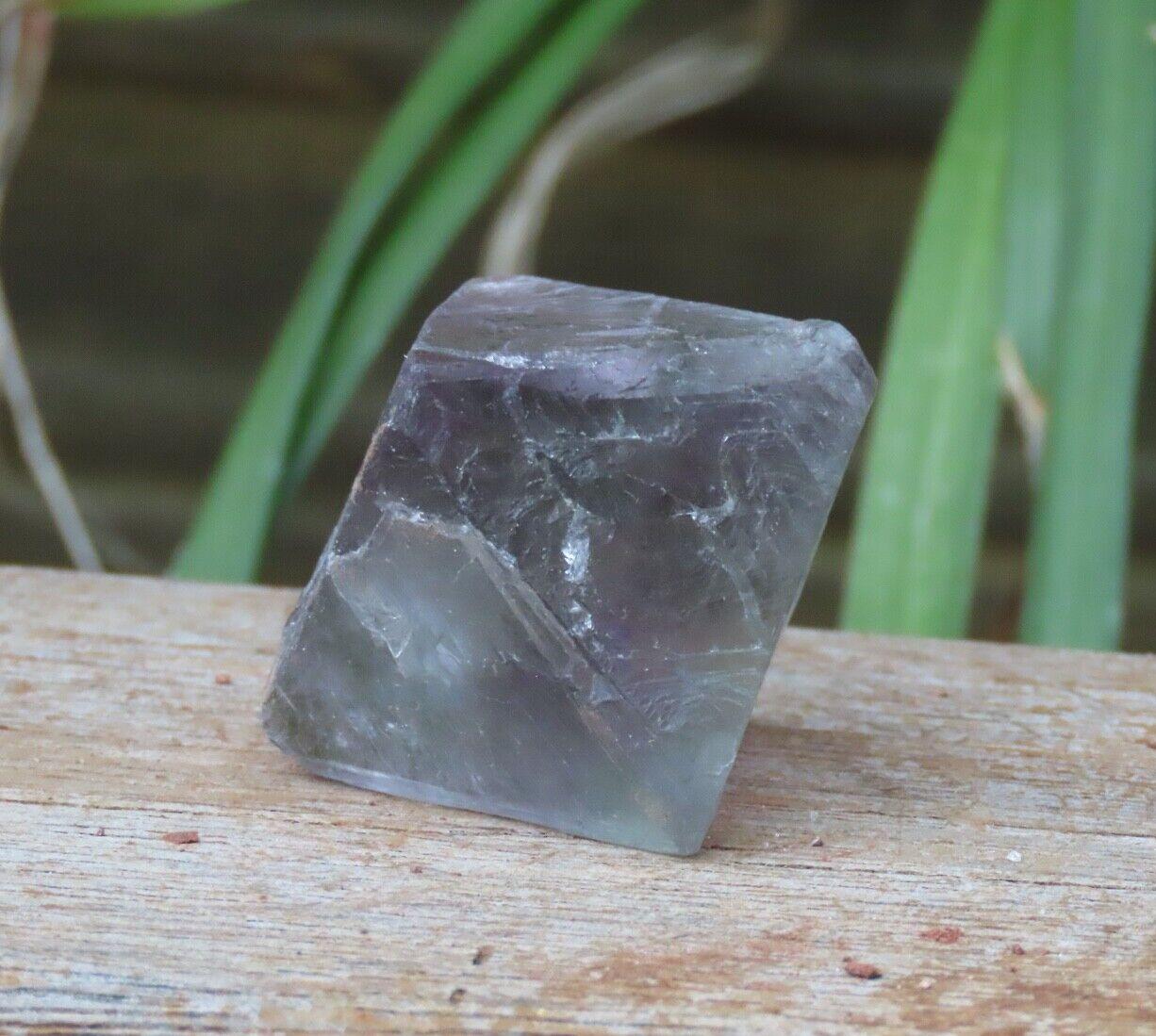 Rough and Raw Fluorite Octahedron Crystal 53 Grams Natural Purple