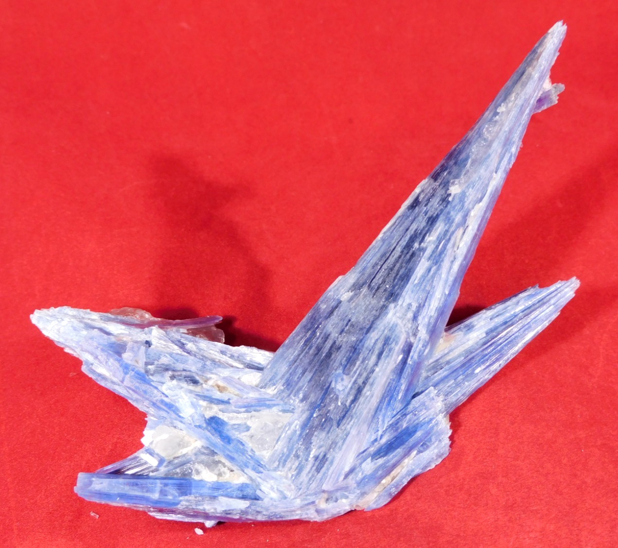 Big! BLUE KYANITE Crystal Cluster With Quartz! 100% Natural Brazil 167gr