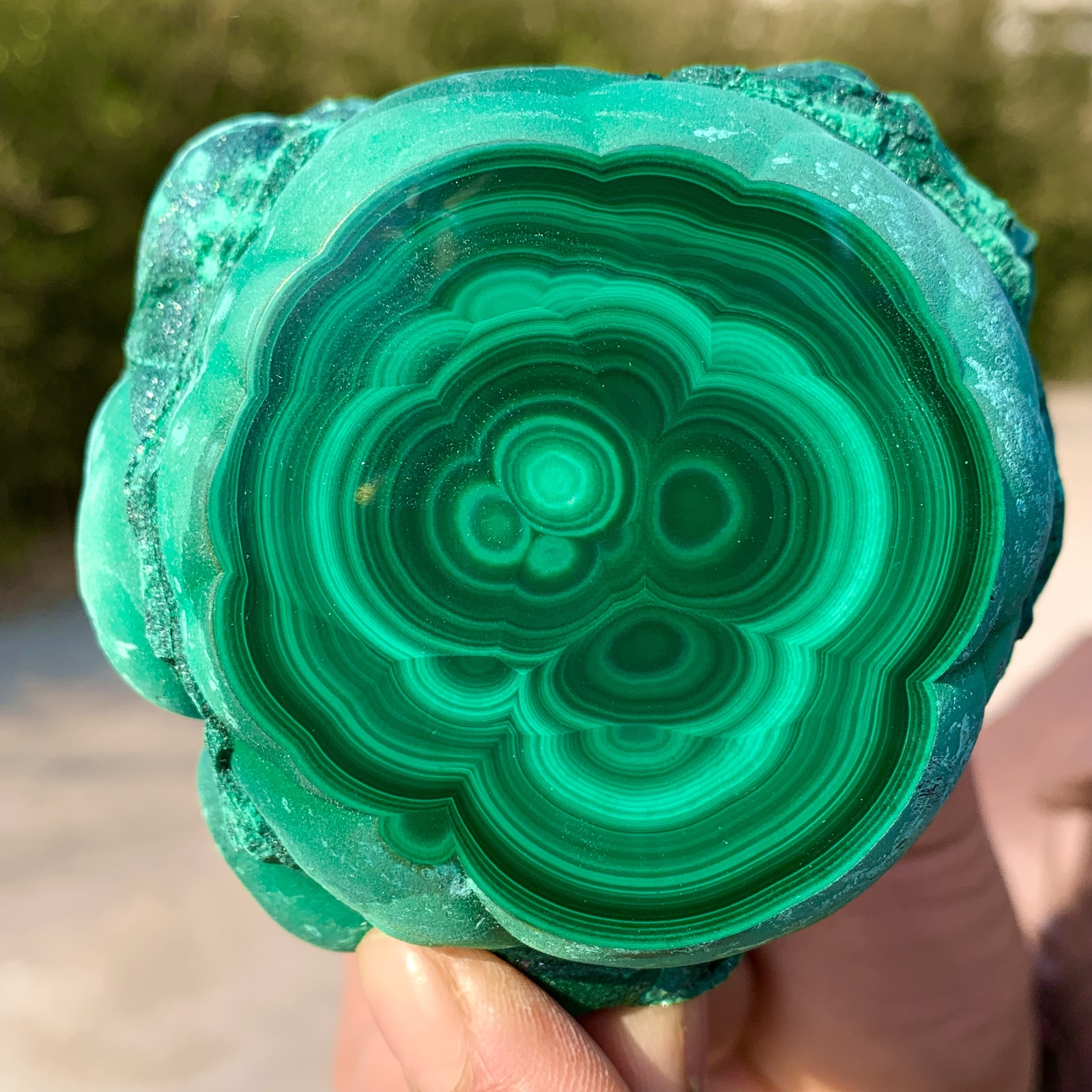 1.39LB Natural glossy Malachite transparent cluster rough mineral sample