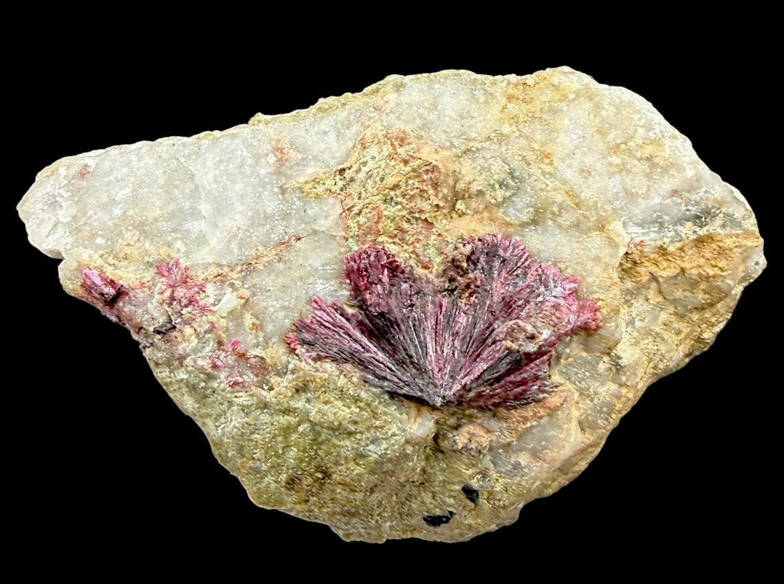 Radiating Erythrite Crystals : Schneeberg , Saxony , Germany 🇩🇪