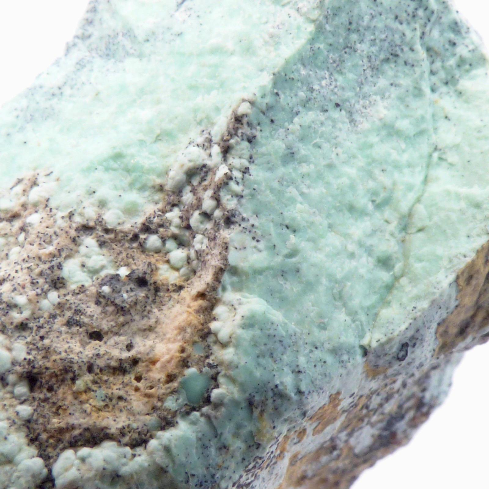 Solid Turquoise Mineral Specimen Island Park Idaho Natural Unpolished 4cm 19g