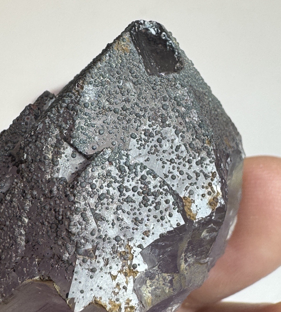 4 Piece Collection of Boreal Amethyst Auralite23 Genuine Crystals from Canada