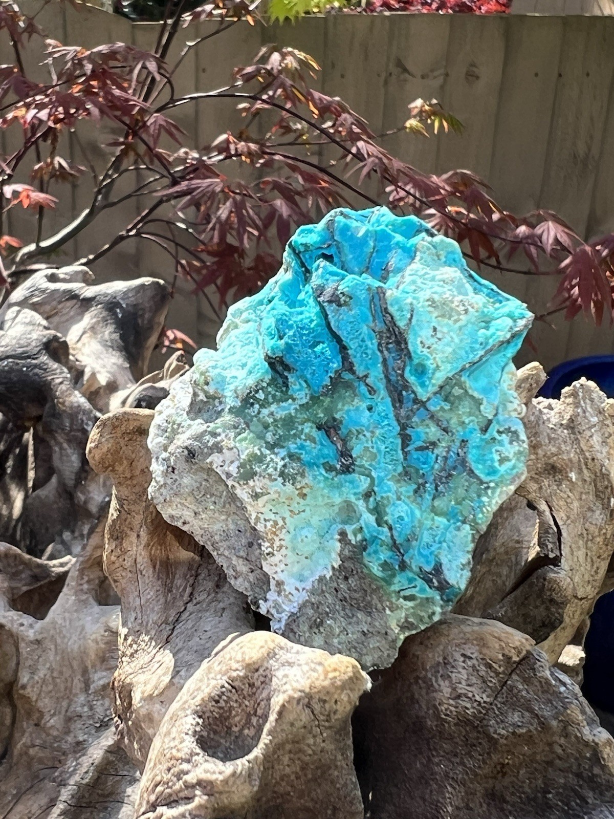 Chrysocolla Crystal Natural Unpolished Raw Specimen With Copper 2