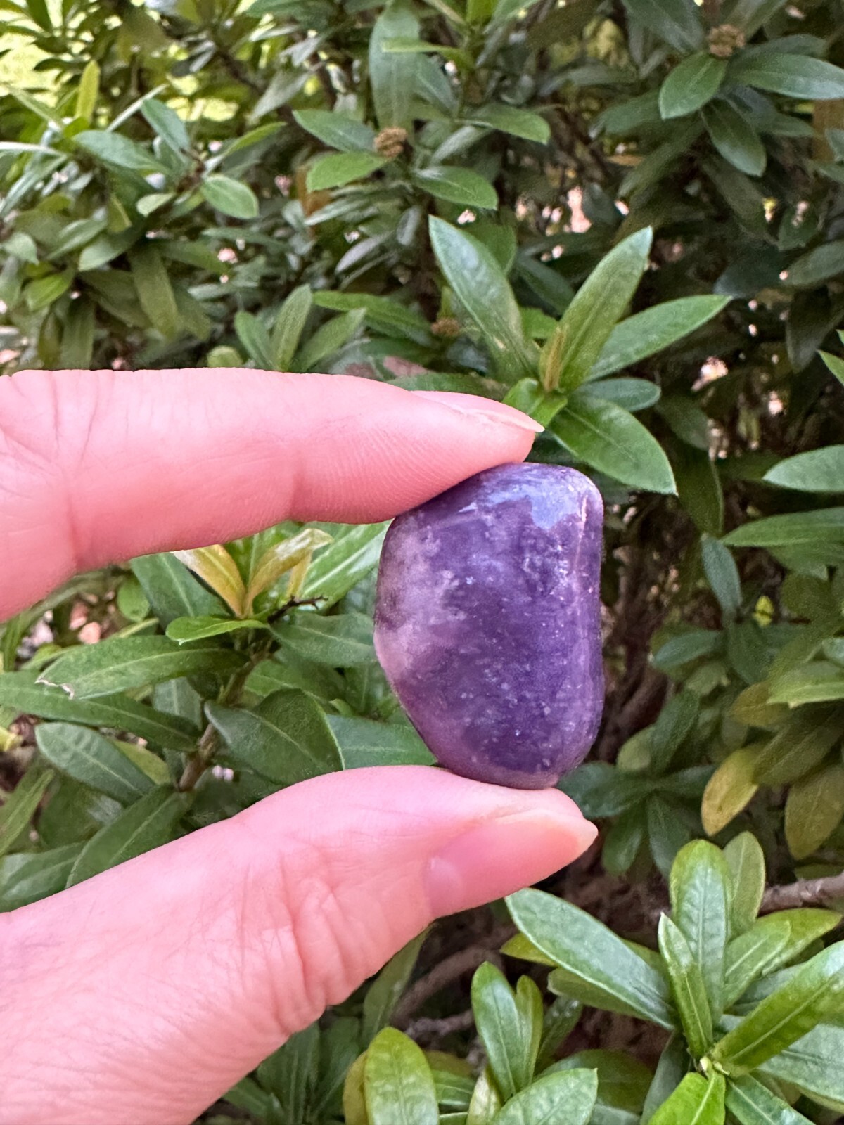 Grade A++ Lepidolite Tumbled Stones 0.75-1.25 Inch, Wholesale Bulk Lot