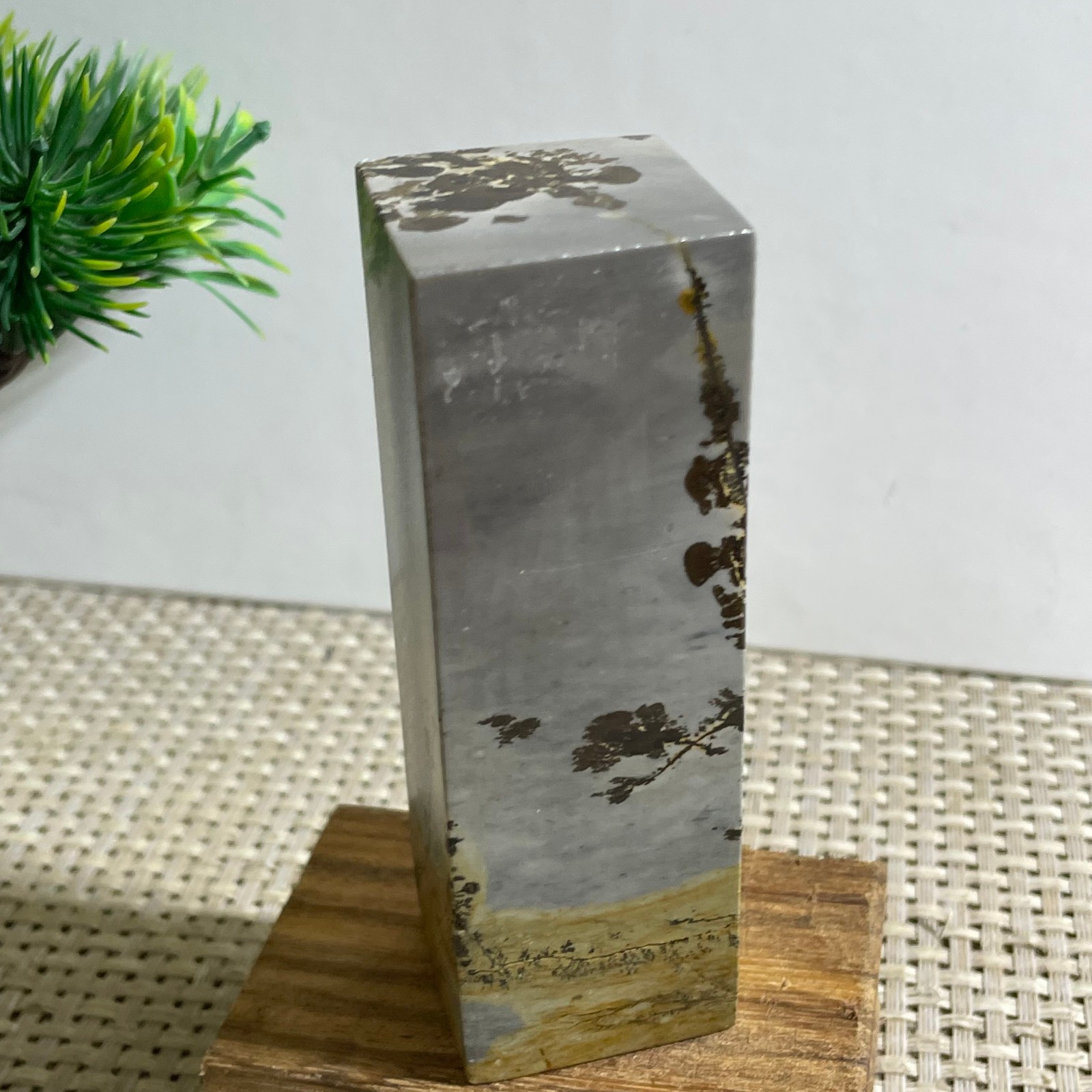 216g Beautiful Chinese Dendritic Limestone Picture Stone Guohua – Rare