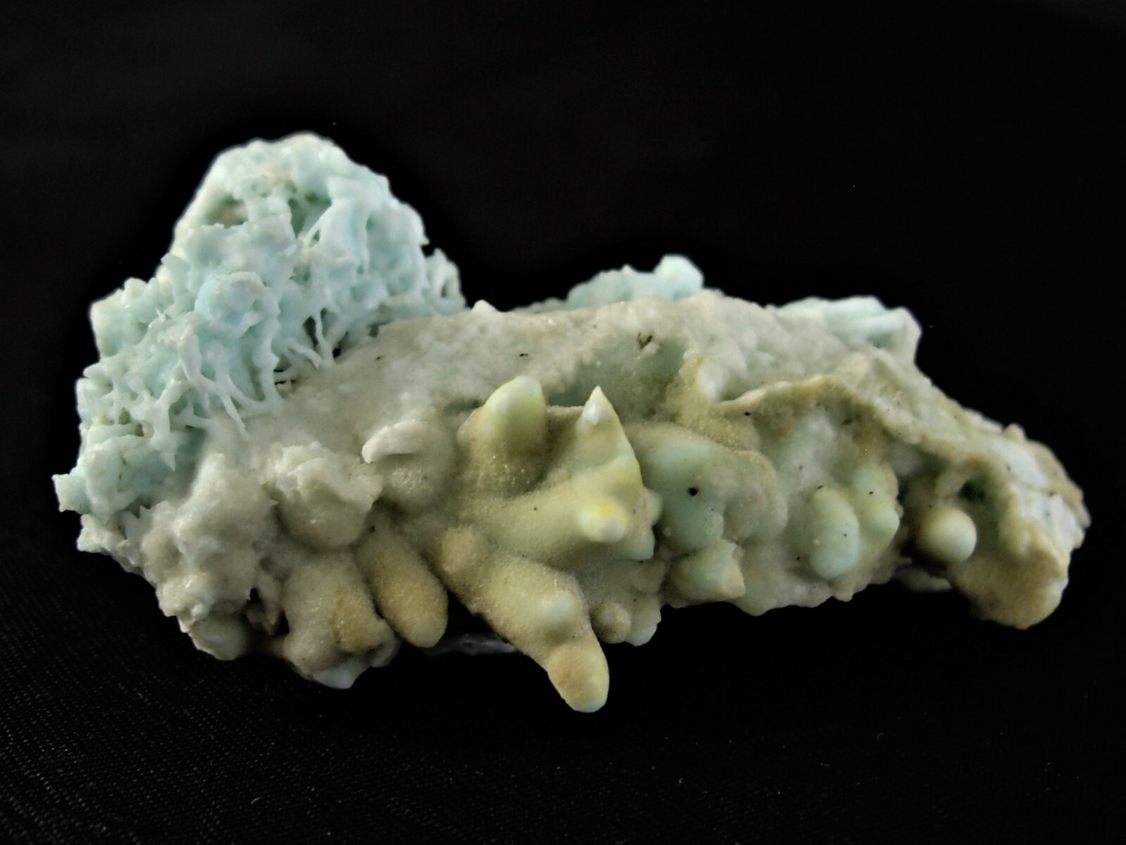 Cool Blue and Yellow Aragonite with Multiple Tangled Stalactites 34g