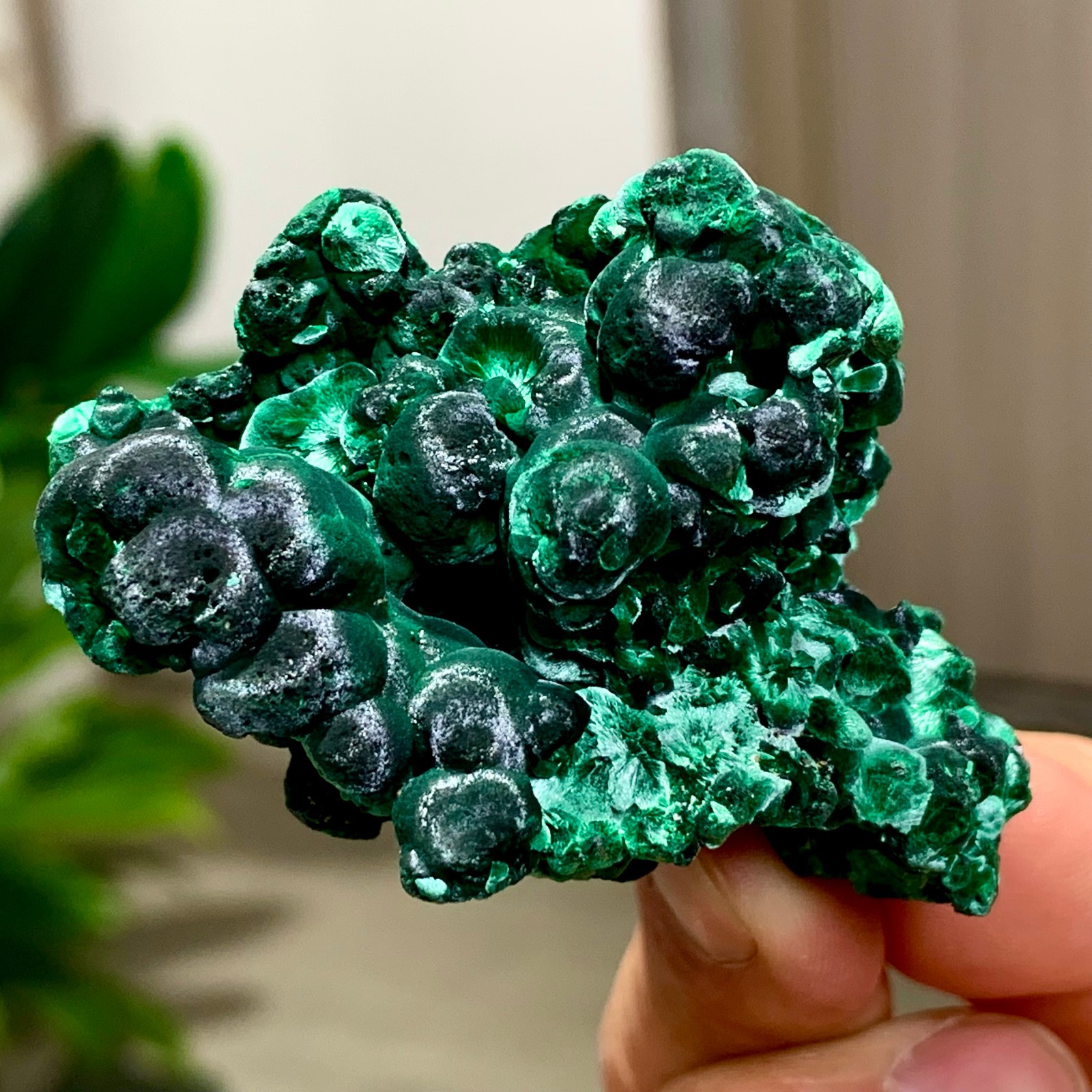 81G Natural glossy malachite cat eye transparent cluster rough mineral Sample