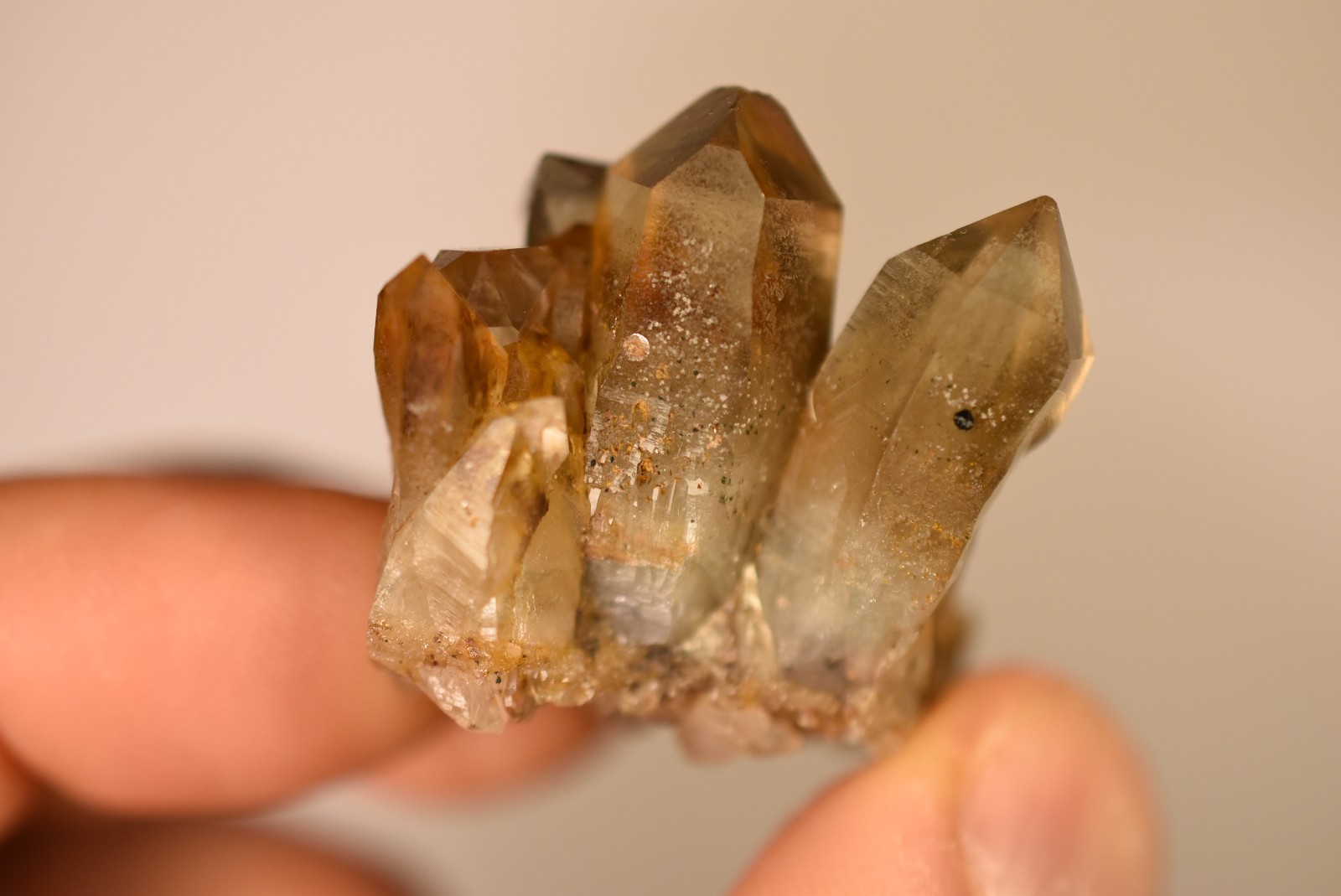 *AUSTRALIAN* SMOKY CITRINE Crystal 4cm 31.1g Cluster Cassiterite Inclusion NSW