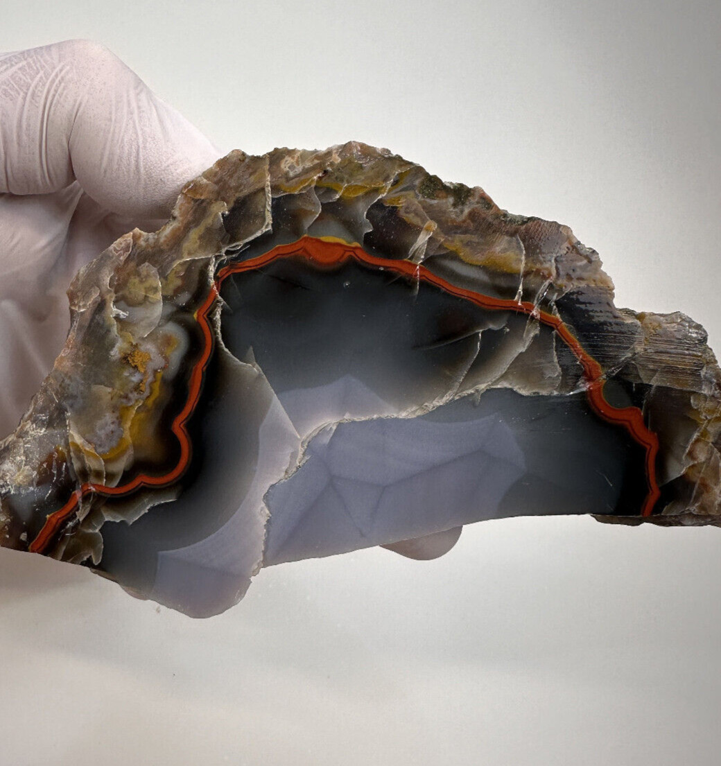 6 INCHES___Natural Beautiful Imperial Kentucky Agate Slab from Estill County