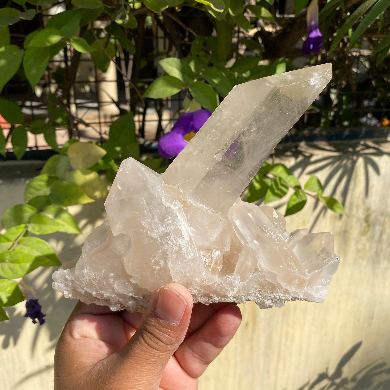 Himalayan Samadhi Cluster Crystal Healing Quartz Clear White 1.62 lbs