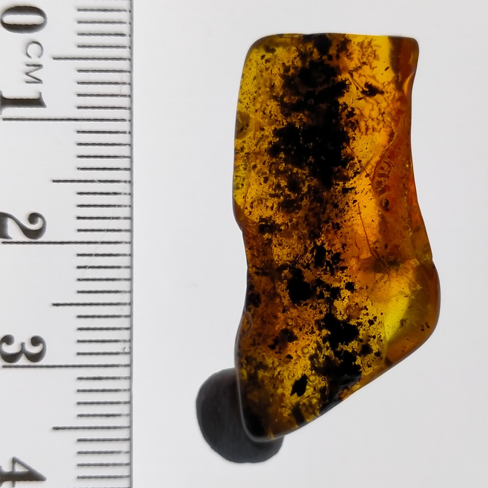 Insect in Amber natural gemstone trapped fossil inclusion Watch Video 11.2ct