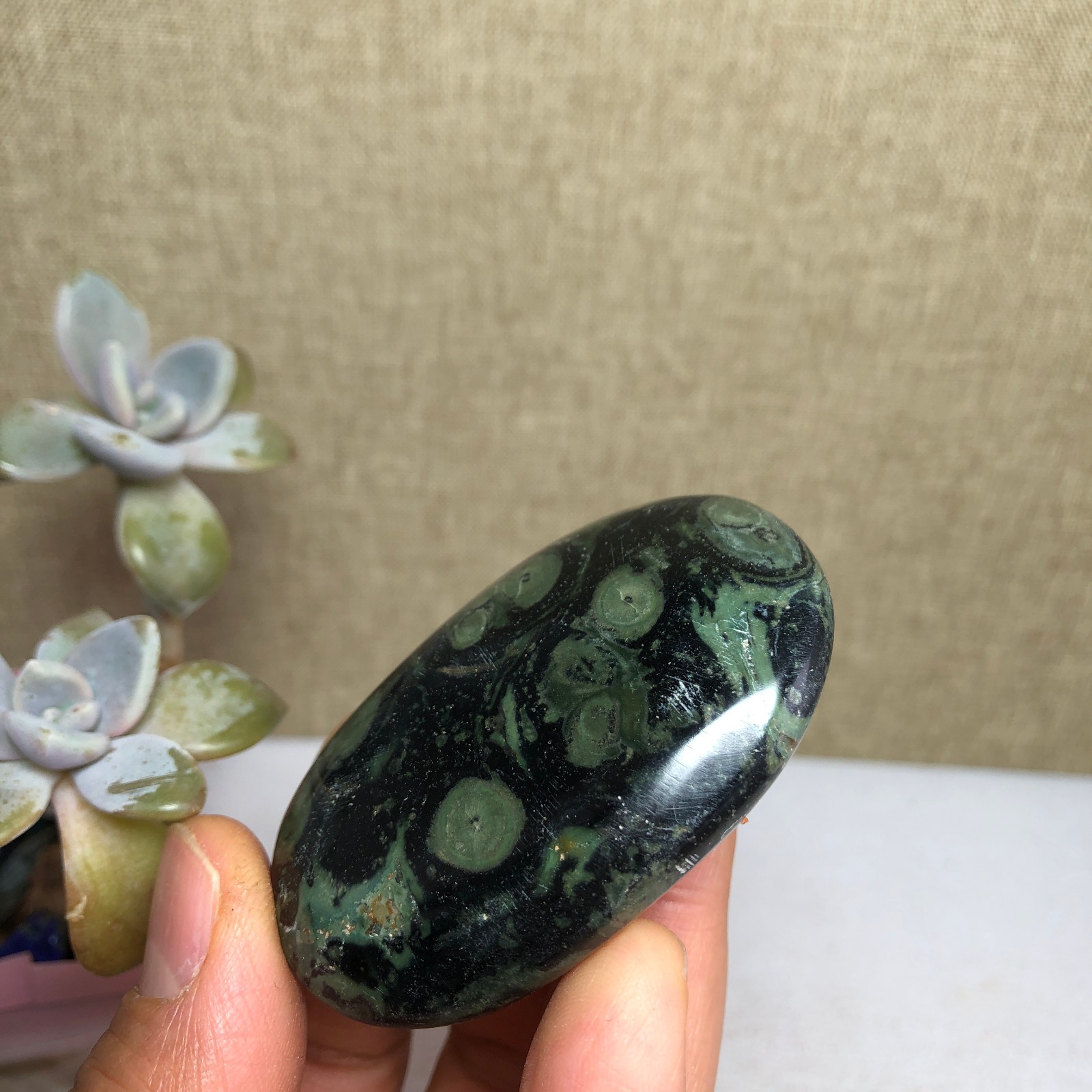 Top Rare Green Kambaba jasper semi-precious stone Specimen healing 64g A2411