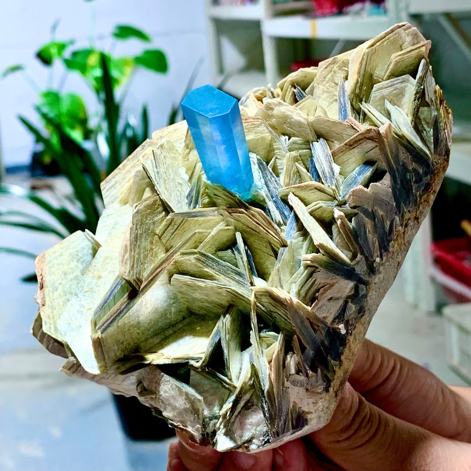 2.24LB Natural Aquamarine Mica paragenesis Crystal Specimen Museum level