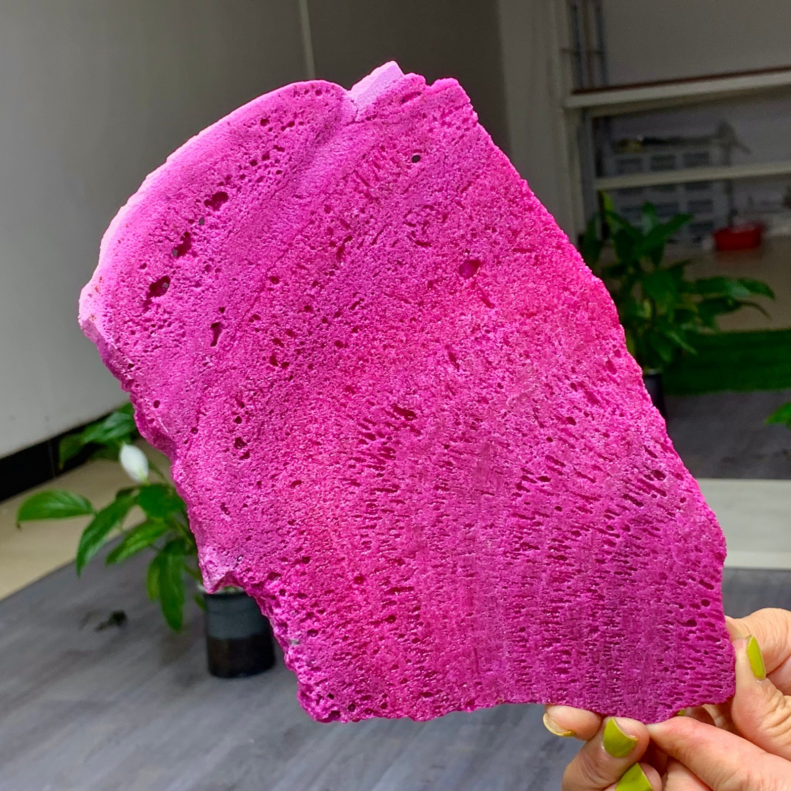 1.14LB Natural Rough Red Corundum Phlogo Pit Mineral Spirits Ruby Raw Gemstone