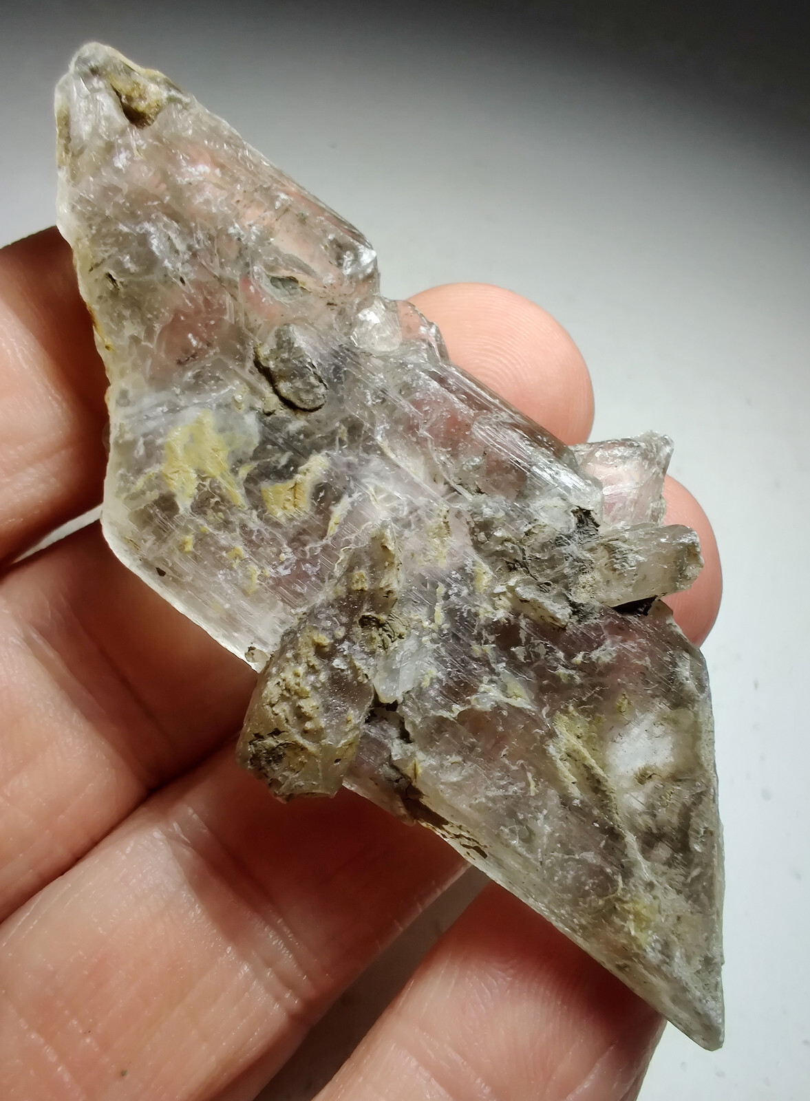 Selenite crystals, terminated. Washington County. Kansas. 8 cm. Video.