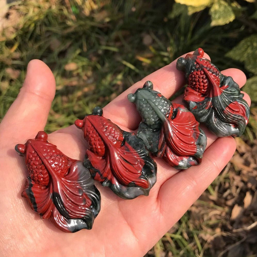 1pc Natural Bloodstone Quartz Hand Caved Fish Skull Crystal Reiki Healing