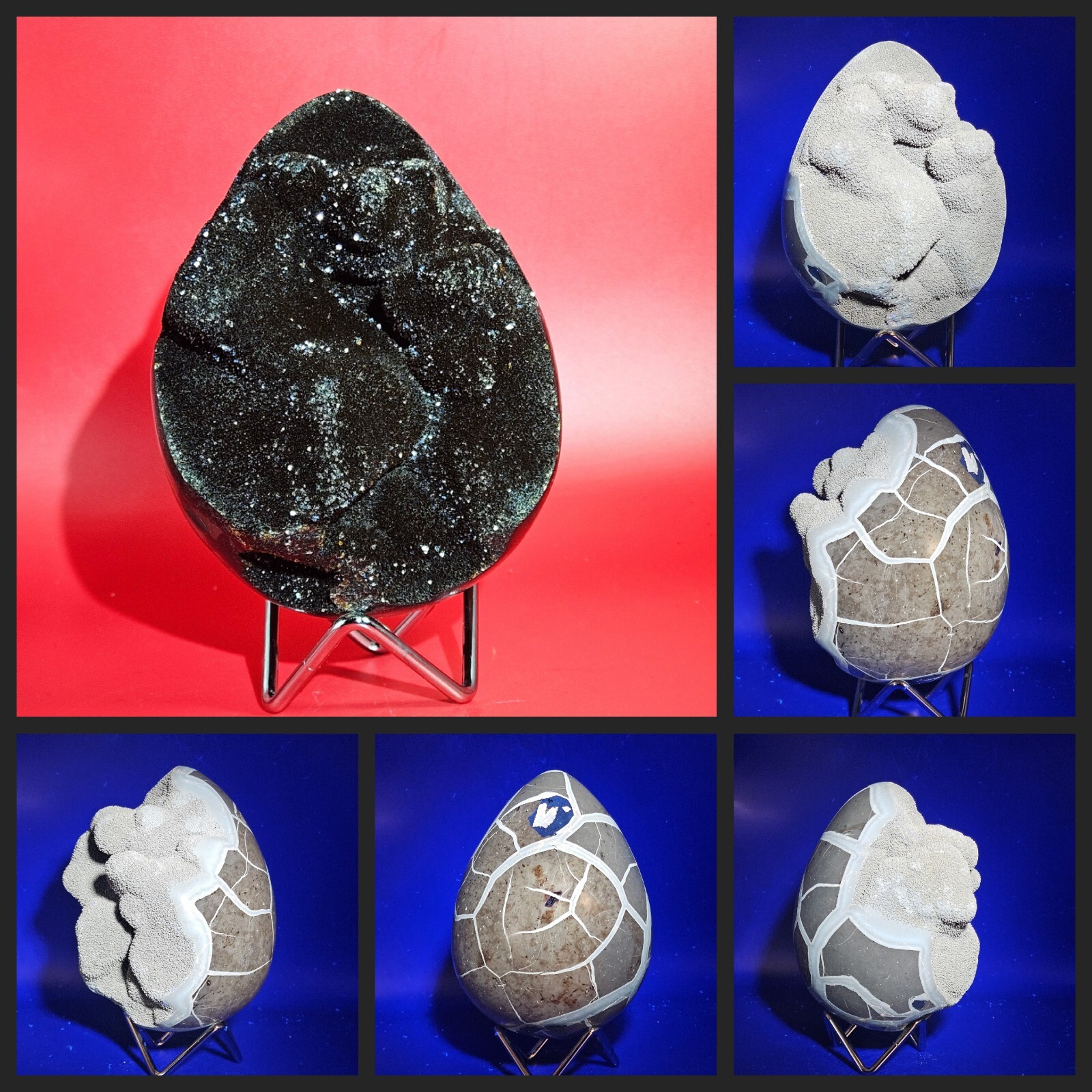Natural Black Dragon Septarian Stone Geode Egg Nodule Glow Under UV/Light 3+LB