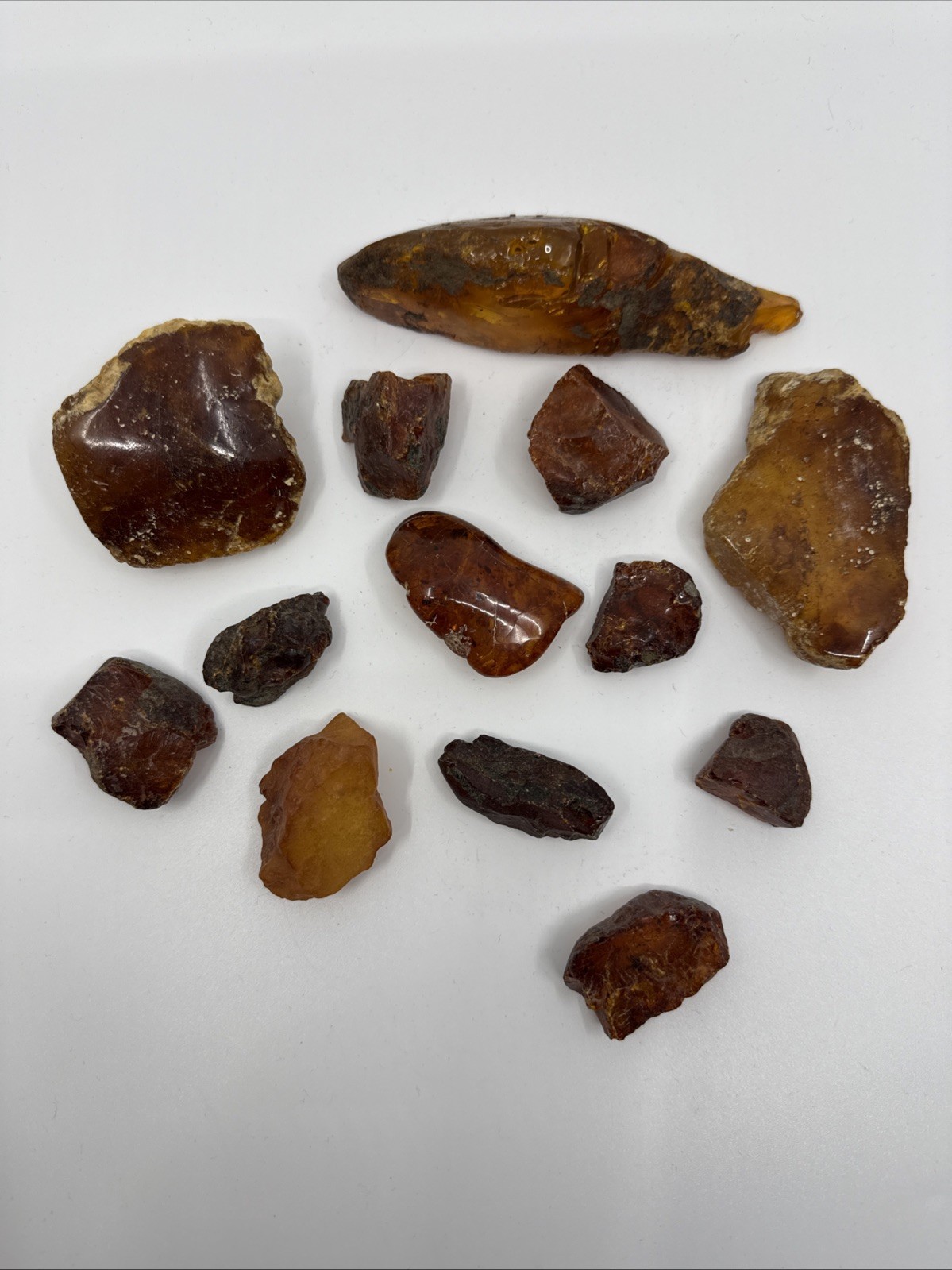 Huge Lot Of Piece Solid Amber Specimen Rough & Polished Raw Natural 214 Grams