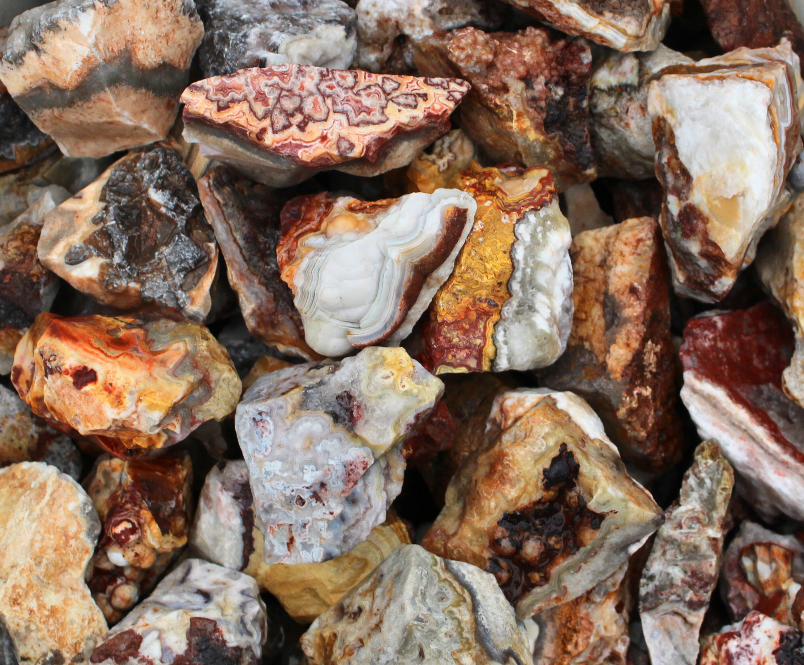 Crazy Lace Agate – Rough Rocks for Tumbling – Bulk Wholesale 1LB options
