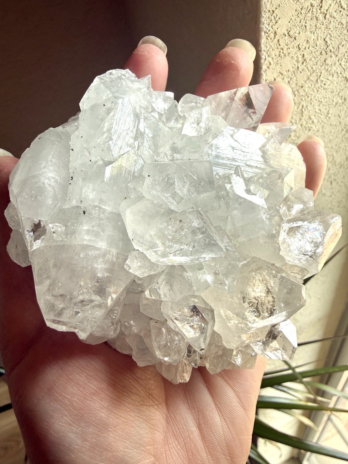 1lb HQ Diamond Apophyllite Cluster w/ 3in DT Double Terminated Point Crystal Gem