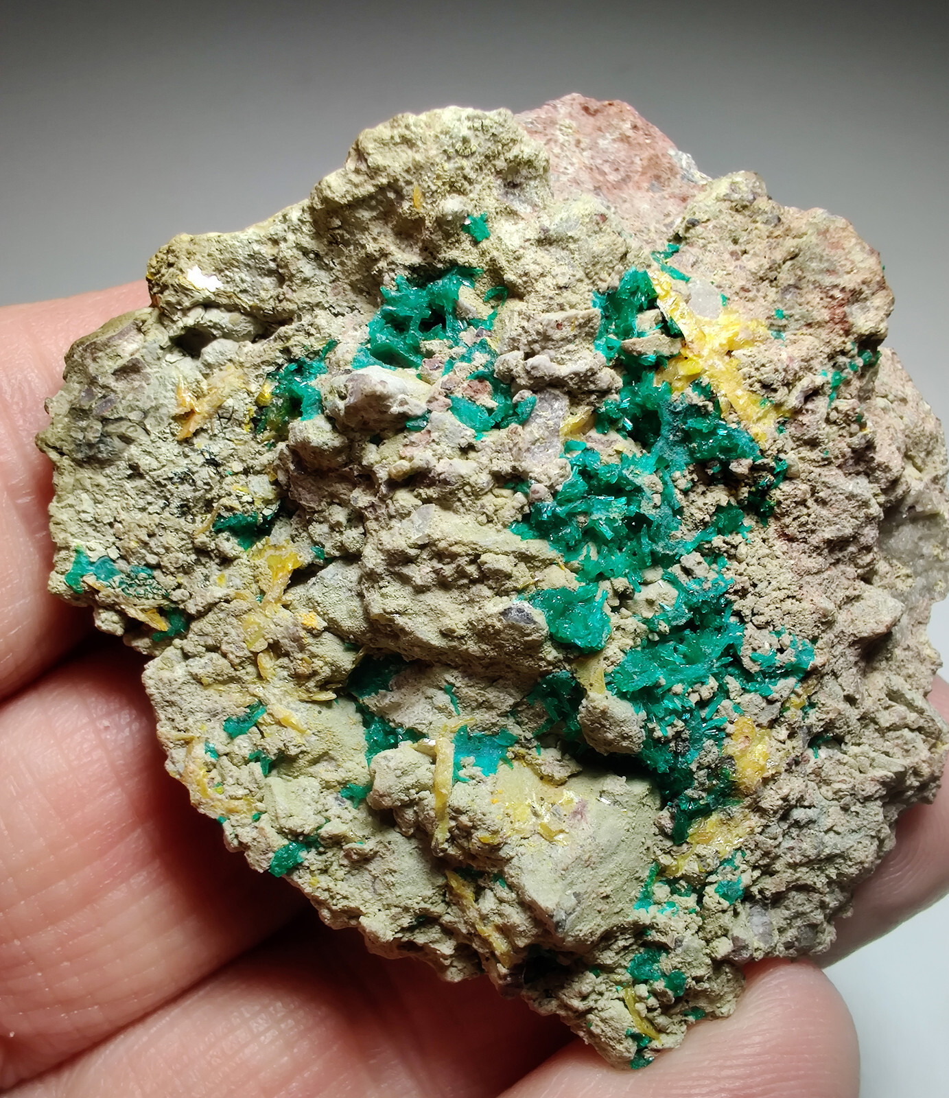 Dioptase, Mimetite crystals on matrix. N’tola Mine, Congo. 62 grams. Video