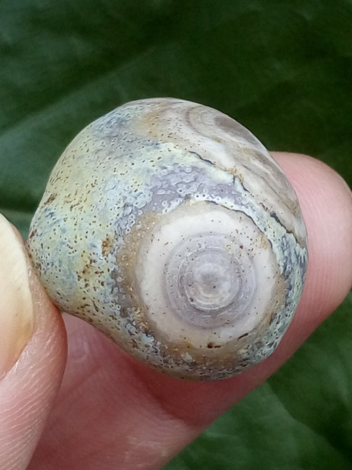 33mm Beautiful Natural Gobi agate eye agate collection Landscape stone