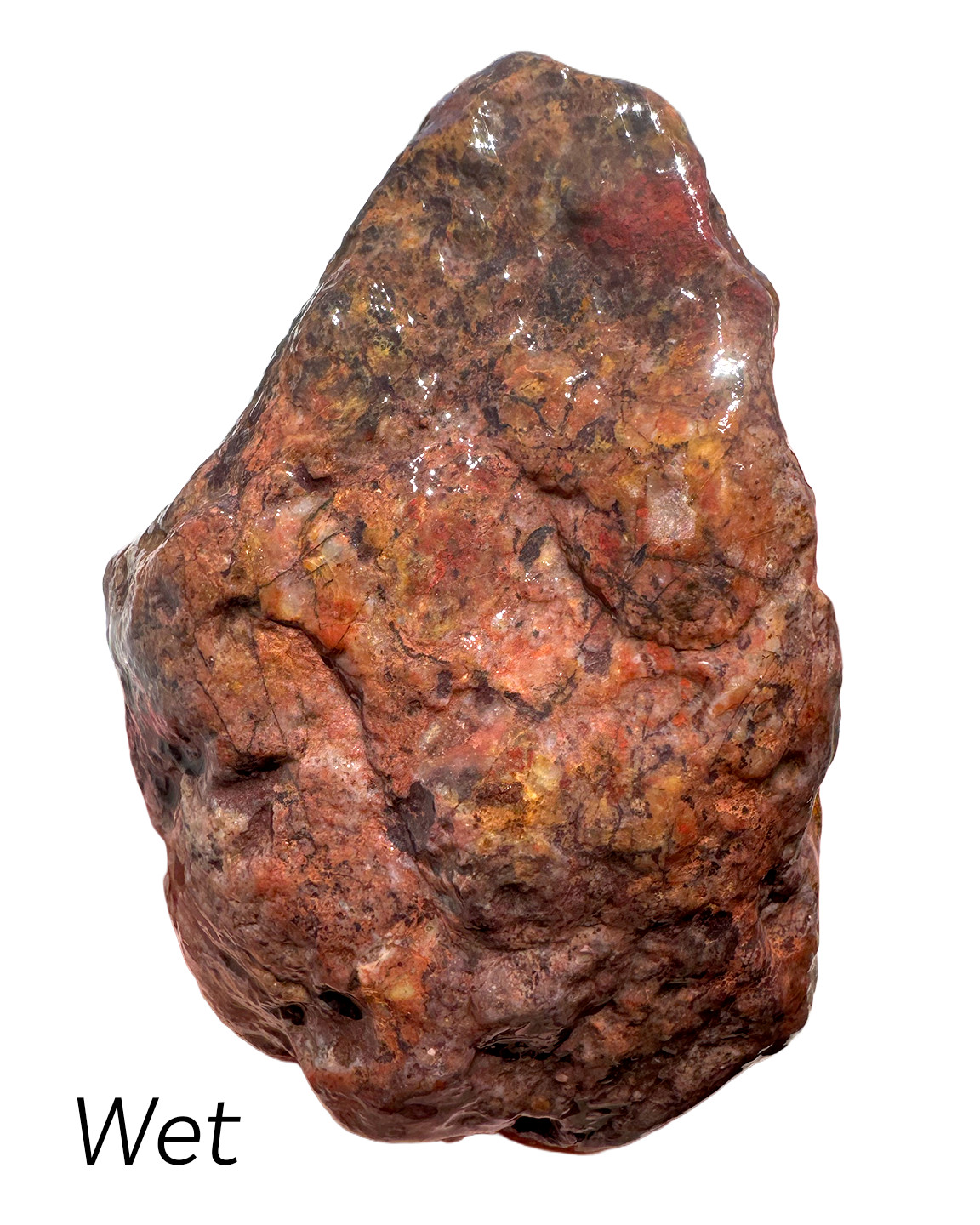 12 oz Brecciated Jasper with Quartz Vivid Color Rough from Arizona