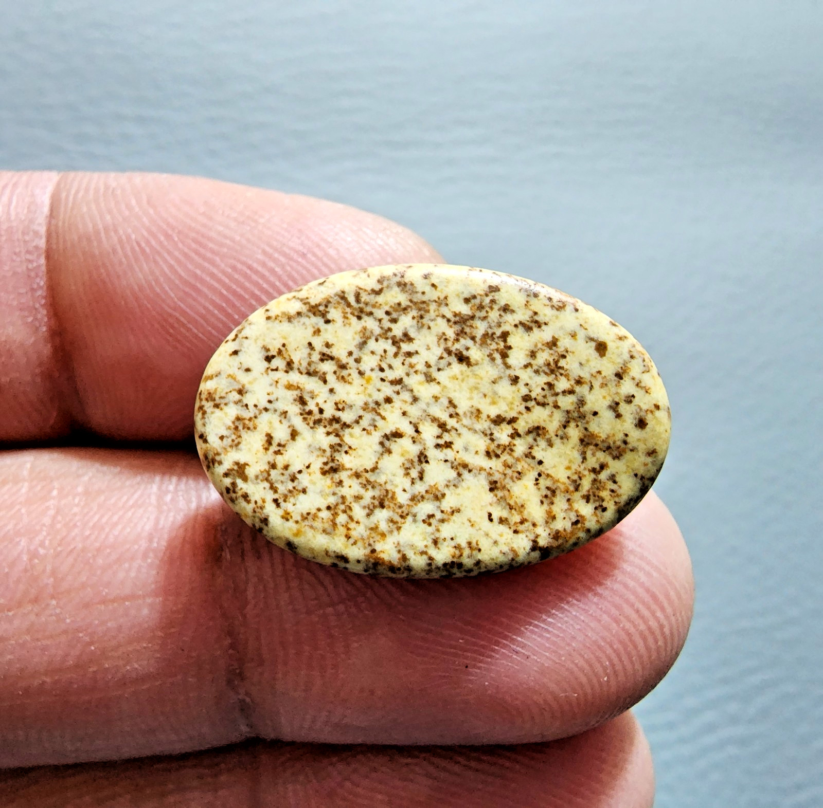 15ct Awesome Picture Jasper Cabochon Oval Gemstone – Natural Jewelry Collector