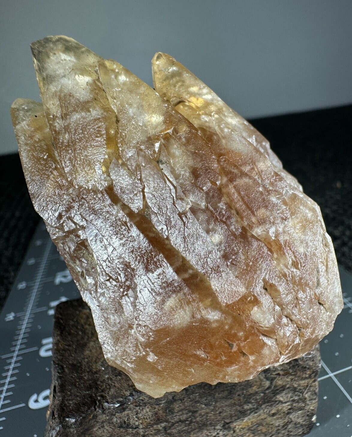 ➤ 2-3/4 INCH HONEY DOGTOOTH CALCITE CRYSTAL – Pugh Quarry Ohio VIDEO➤453