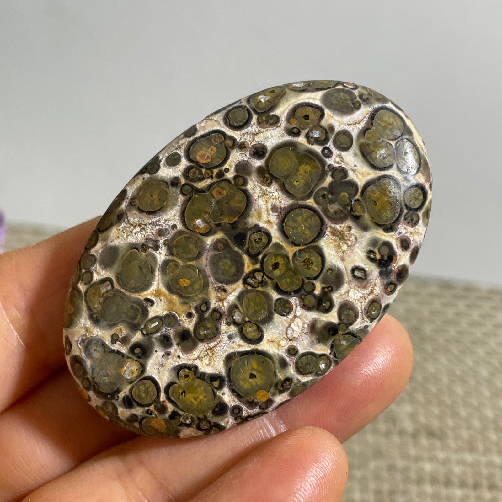 32g Natural Polished Leopard print Money Agate Stone