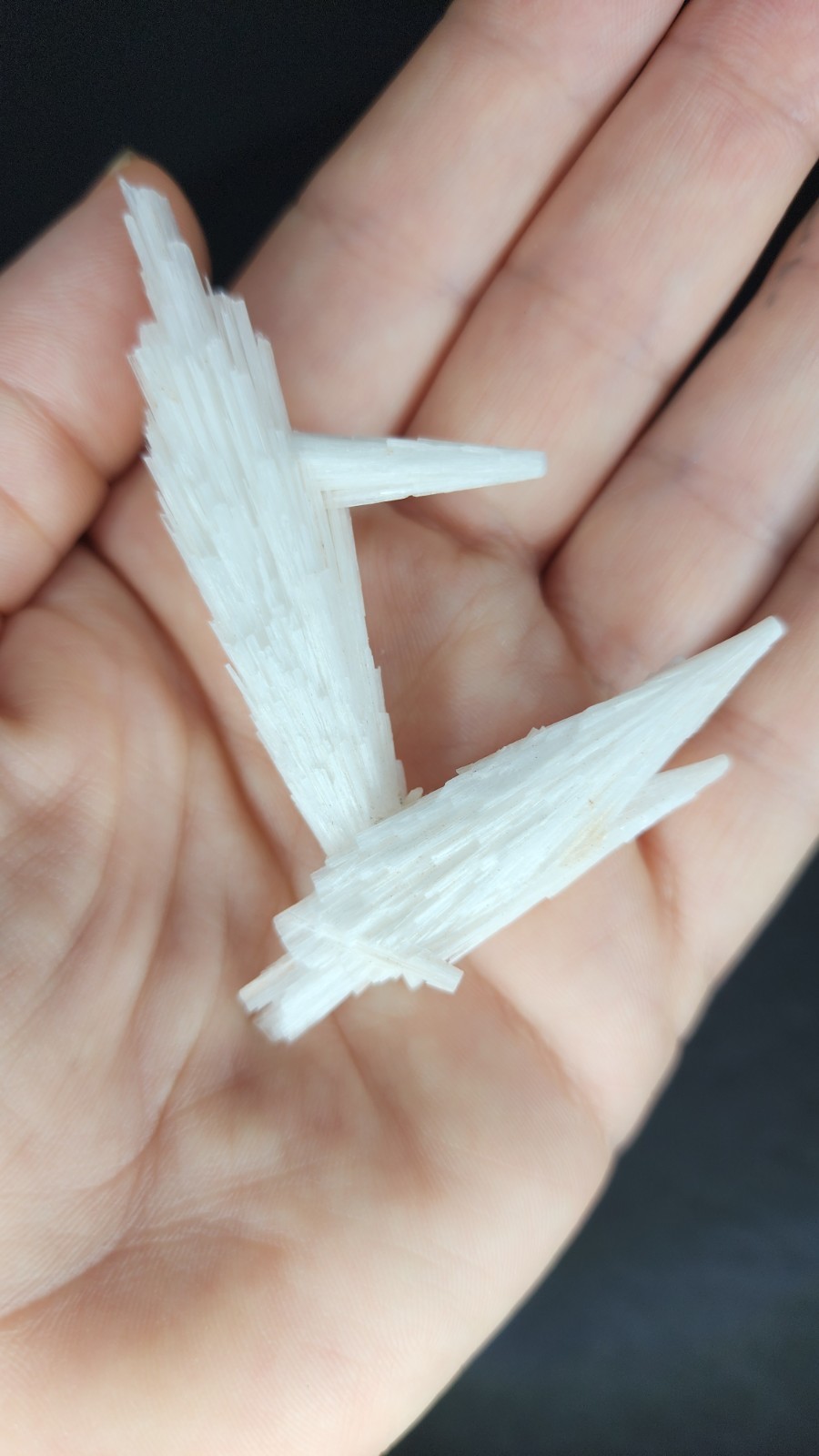 ✨️Intersecting Scolecite Cluster in Floating Display – Maharashtra, India✨️