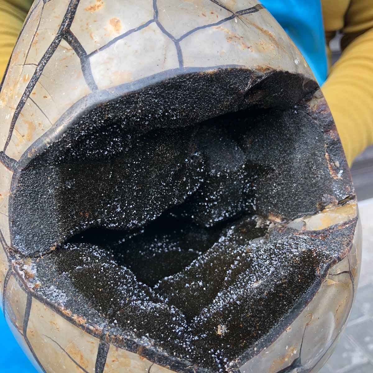 9120G Natural Turtle Back Stone Dragon Crystal Cave Crack Gem Healing 4352