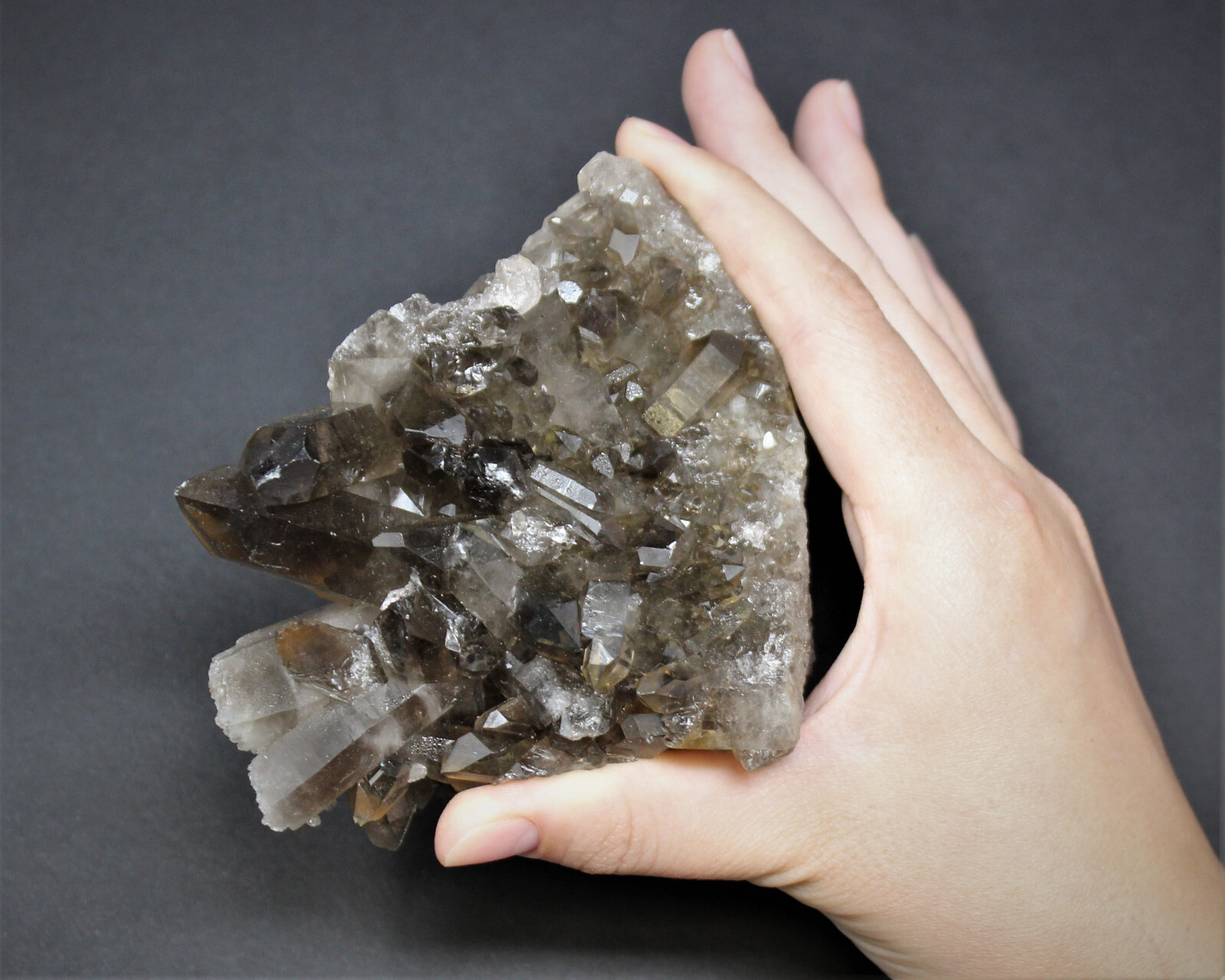 LARGE Clearance Smoky Quartz Crystal Clusters – Natural ‘B’ Grade Cluster Druze
