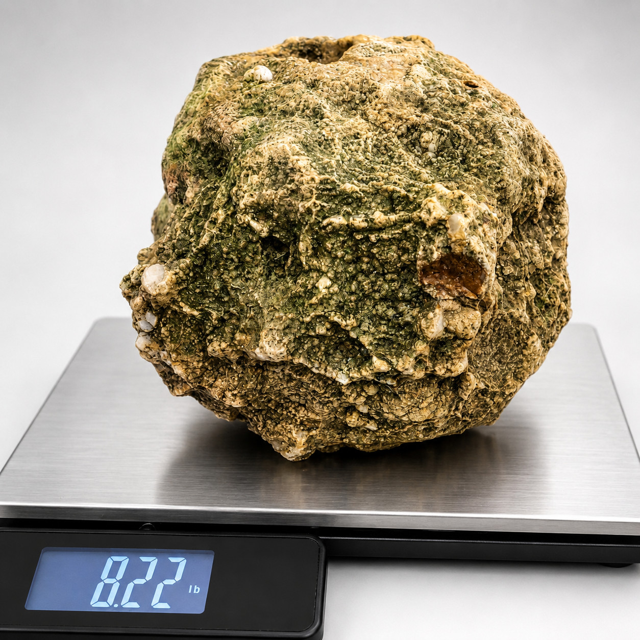 8.22 lb Unopened Kentucky Geode Rattler Break Your Own Hand Picked KY 7 inch
