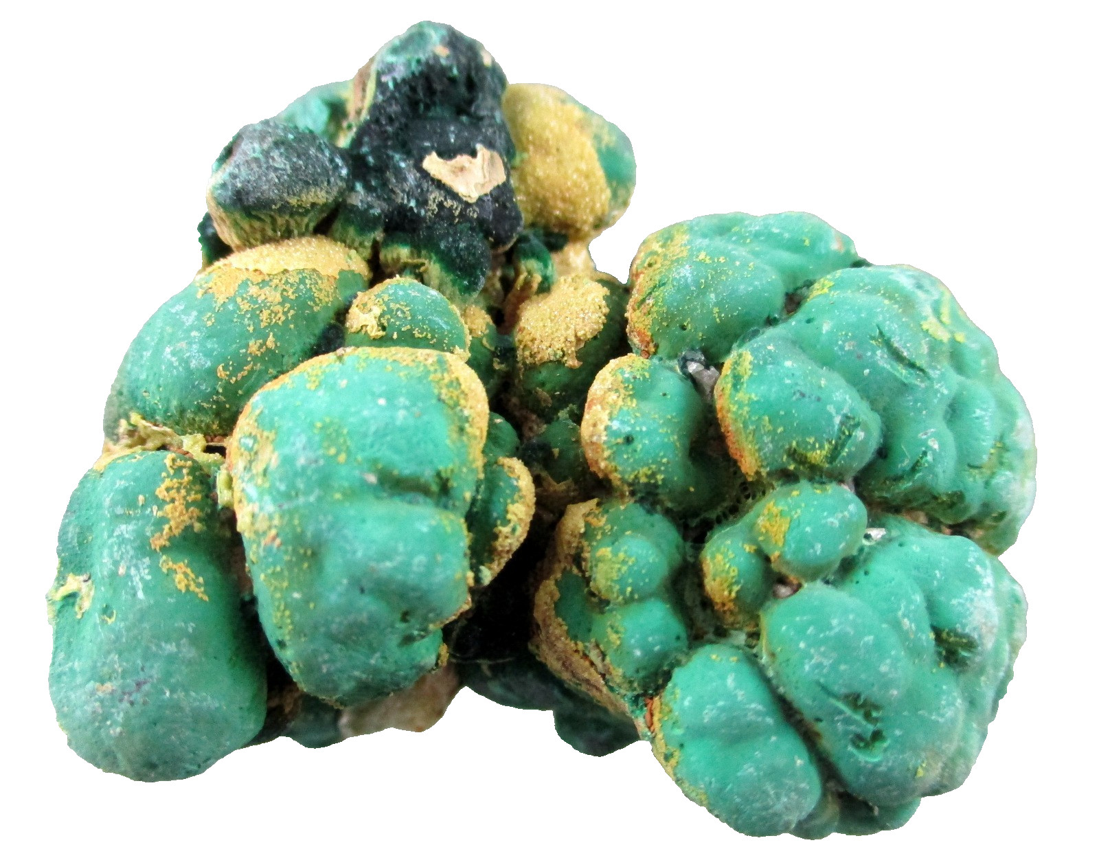 malachite, rum jungle, NT, mineral specimen