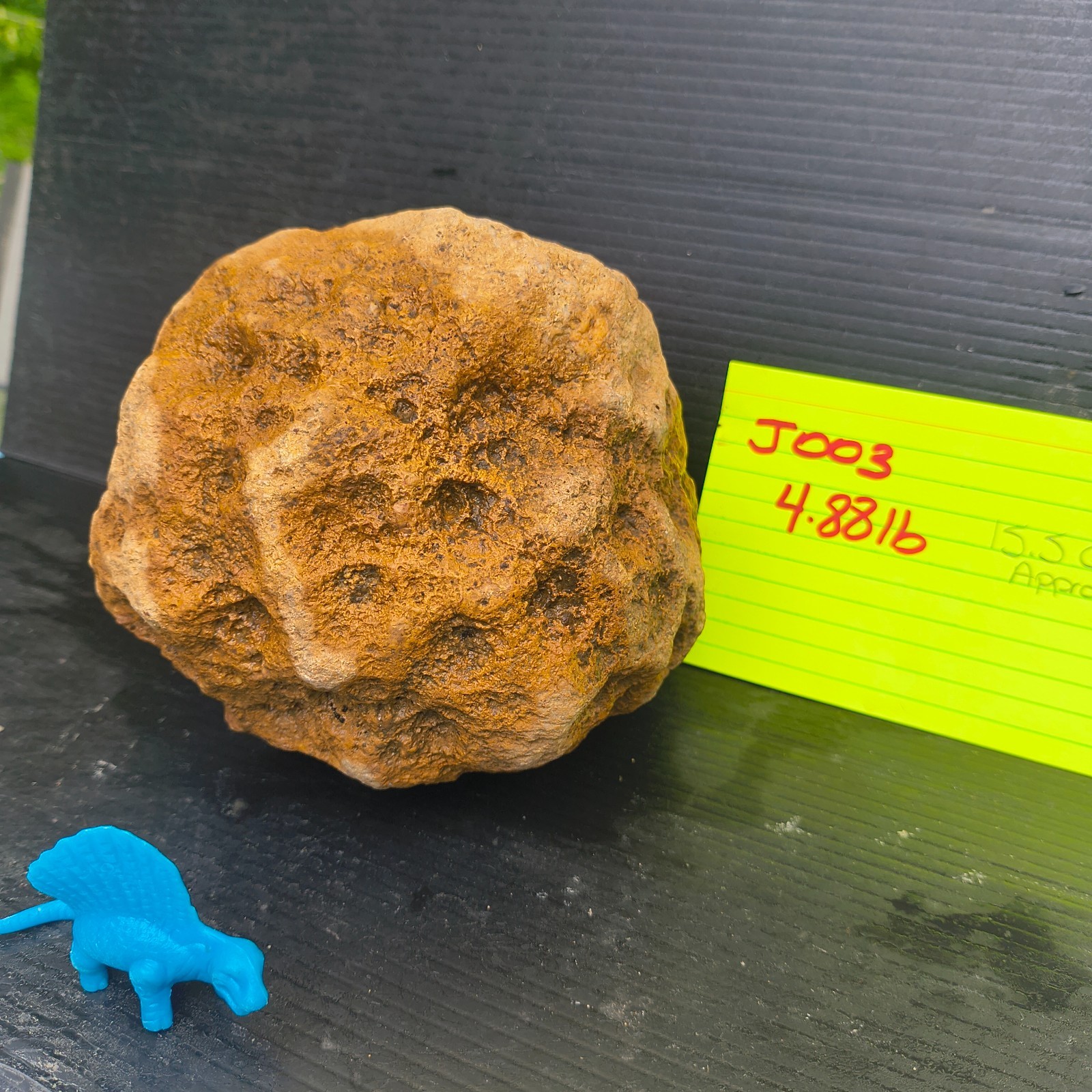 Unopened Natural Kentucky Geode 4.88 lb 6″ Exact Specimen