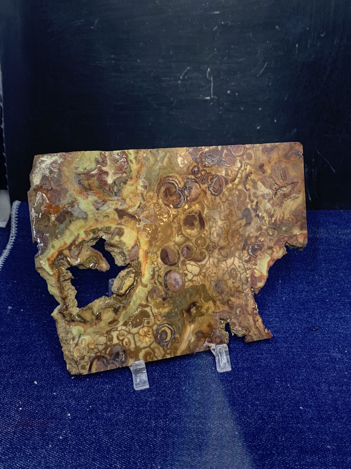 Spiderweb Jasper Slab Unpolished ( Washington)
