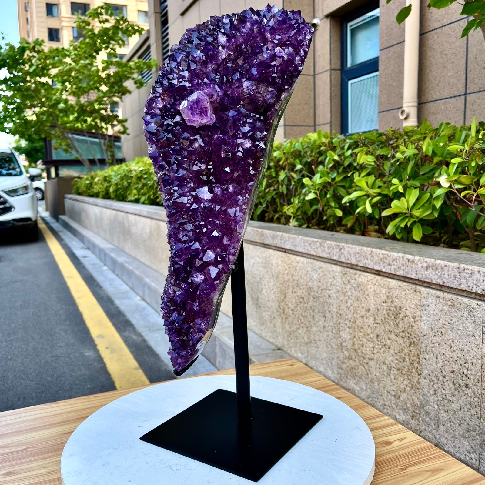 29.83LB Natural Brazilian high-grade amethyst thin skin large teeth