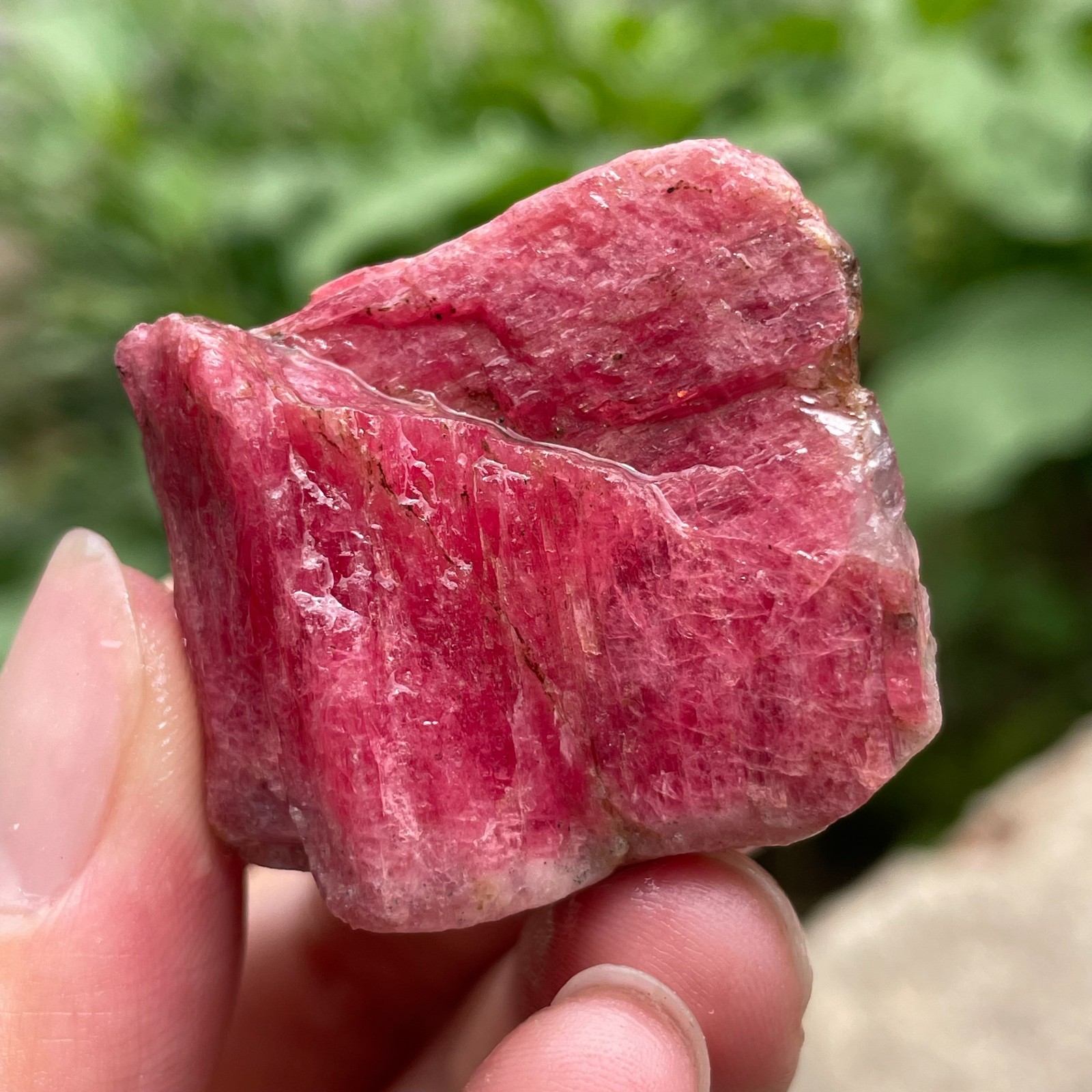 76g Small Raw Ore Red Black Rhodonite Quartz Gemstone Mineral Specimen