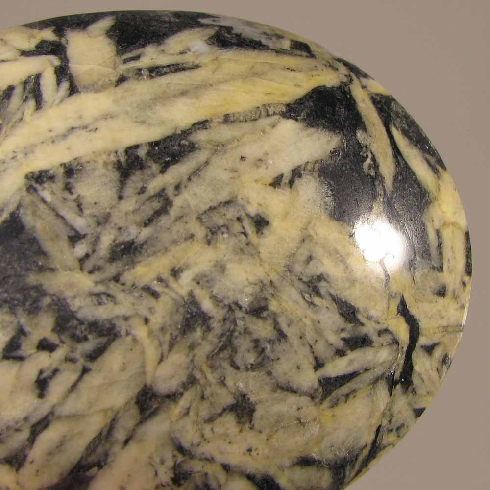 2″ PINOLITE Pinolith Polished Palm Stone – British Columbia, Canada