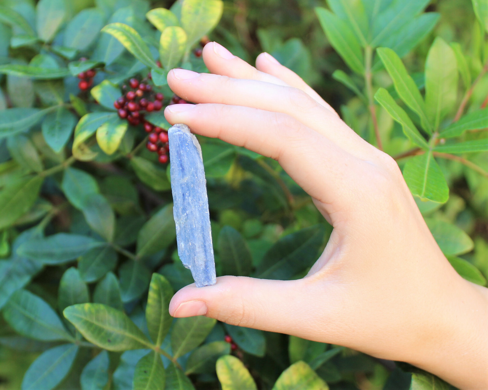 1 Natural Blue Kyanite Blade 0.75″ – 1.25″ (Raw Crystal Rough Blue Kyanite)