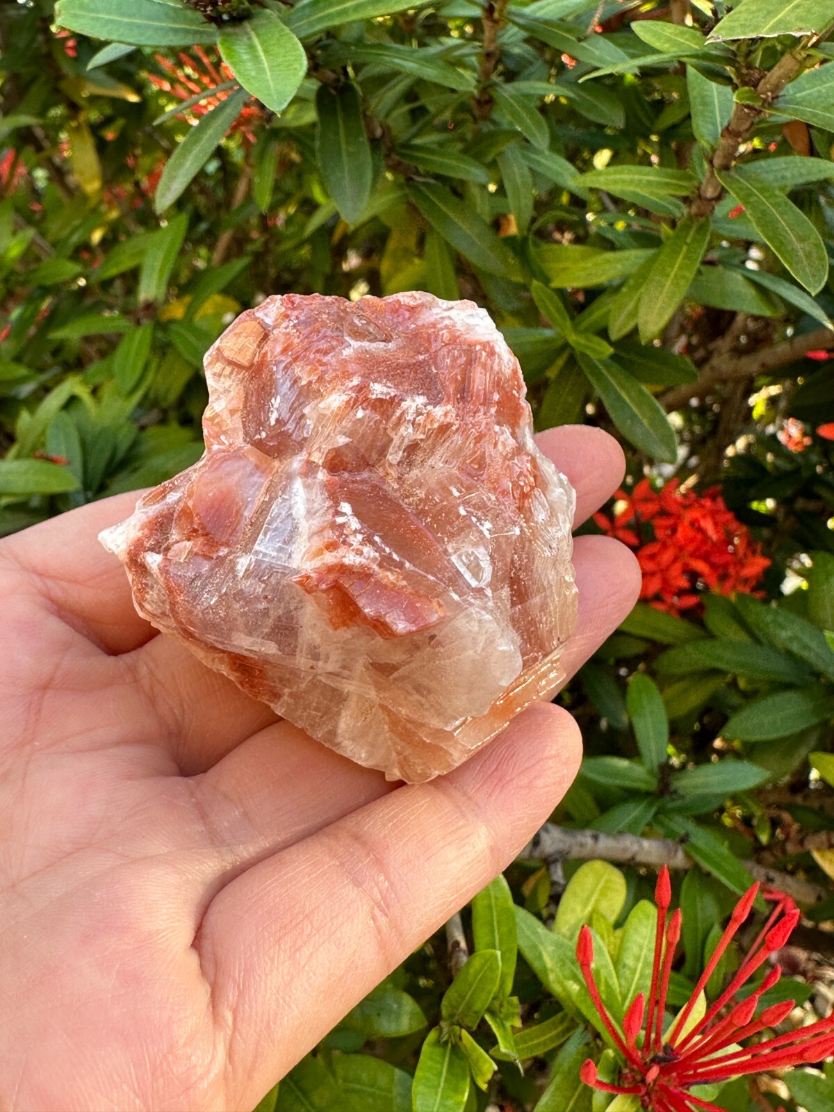 Grade A++ Red/Brown Calcite Rough Natural Stones, 1.5-2.5″ Raw Calcite Red/Brown
