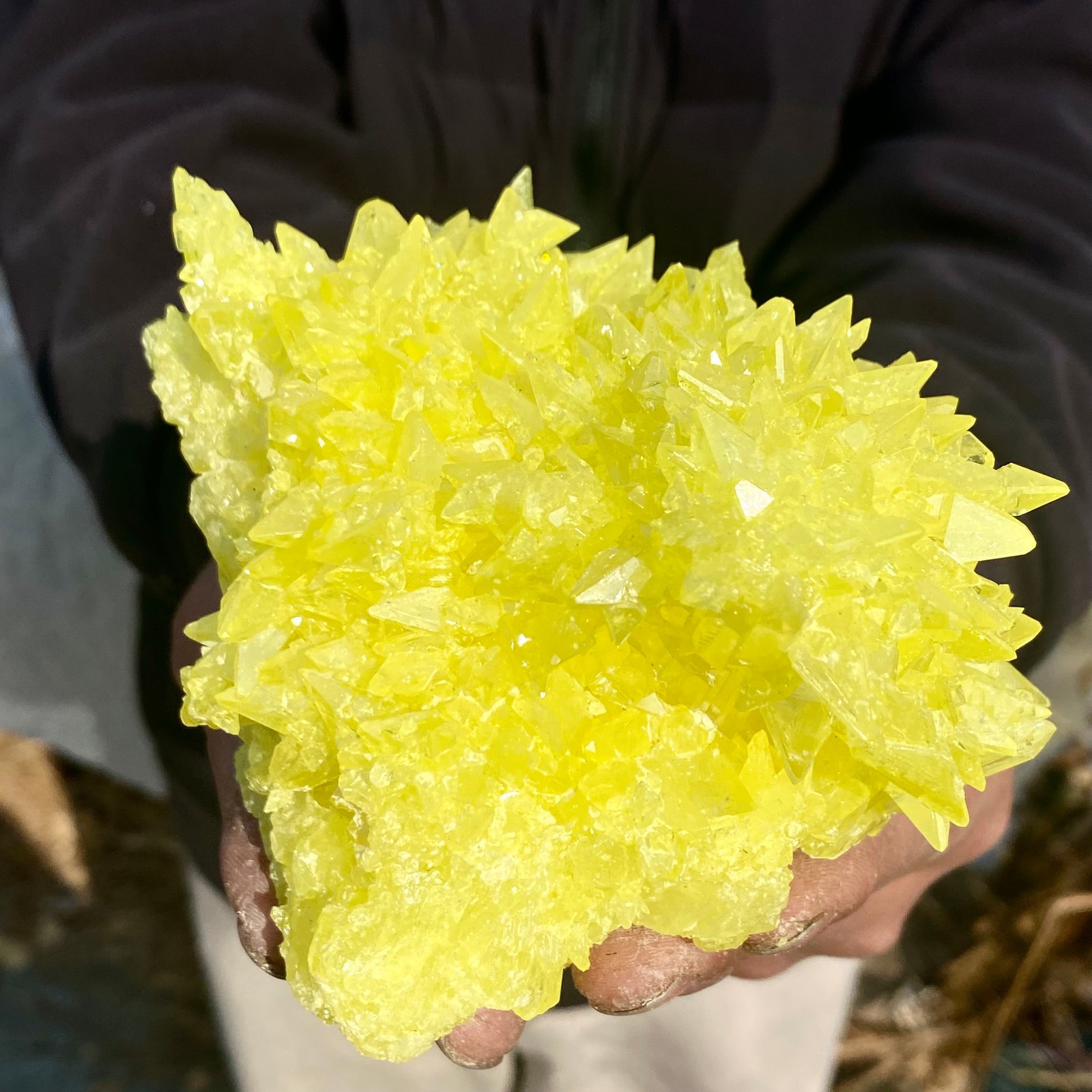 1.4LB Minerals ** LARGE NATIVE SULPHUR OnMATRIX Sicily- FREE.